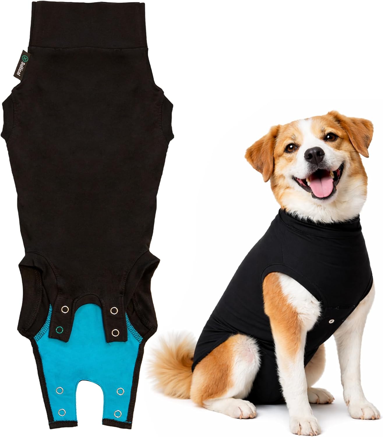 Guide: Best Dog Recovery Suits for 2026
