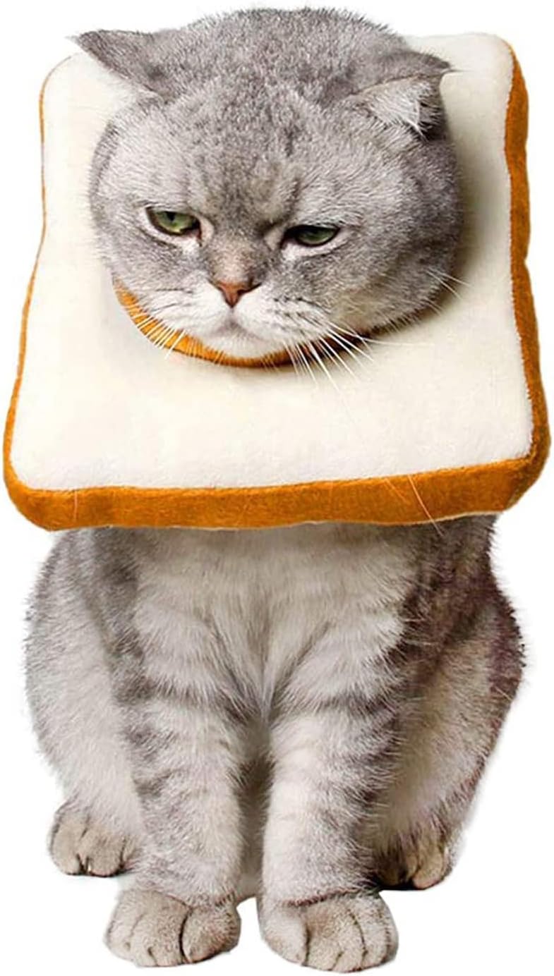 Toast Soft Cat Cone Collar