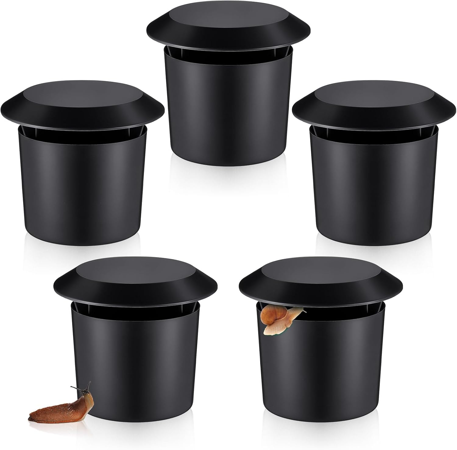 Qualirey Five-Piece Slug Trap Set