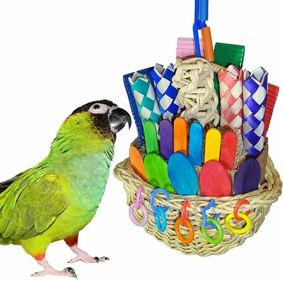 Super Bird vs Planet Pleasures vs Busy Bird: Parrot Foraging Toys 2026
