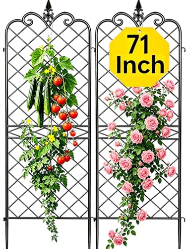 Best Garden Trellis Panels 2026: 3 Reliable Supports for Climbing Plants
