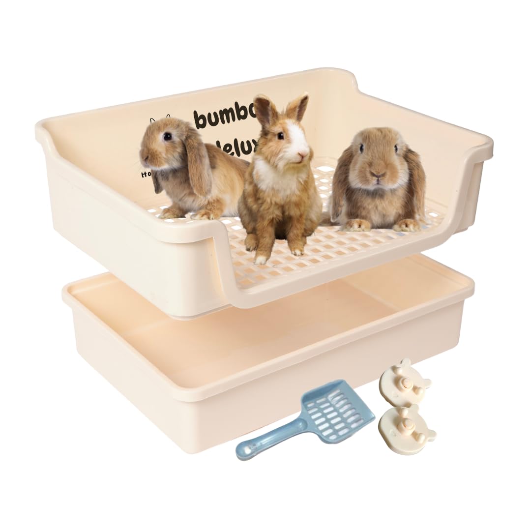 Best Rabbit Litter Boxes in 2026: 3 Practical Picks