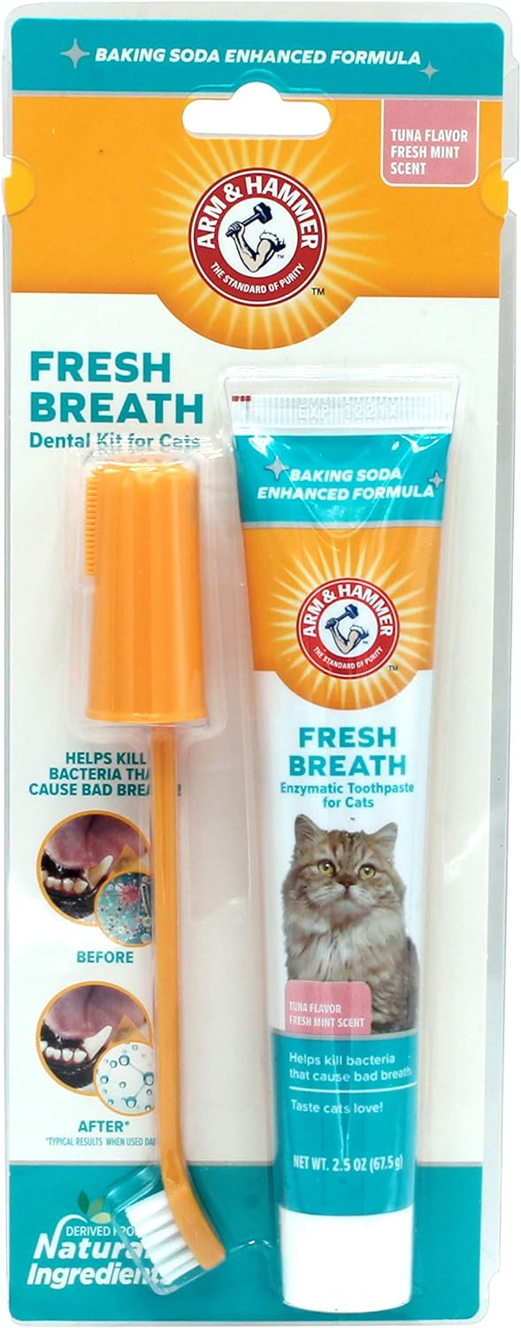 Zestaw dentystyczny Arm & Hammer dla kotów