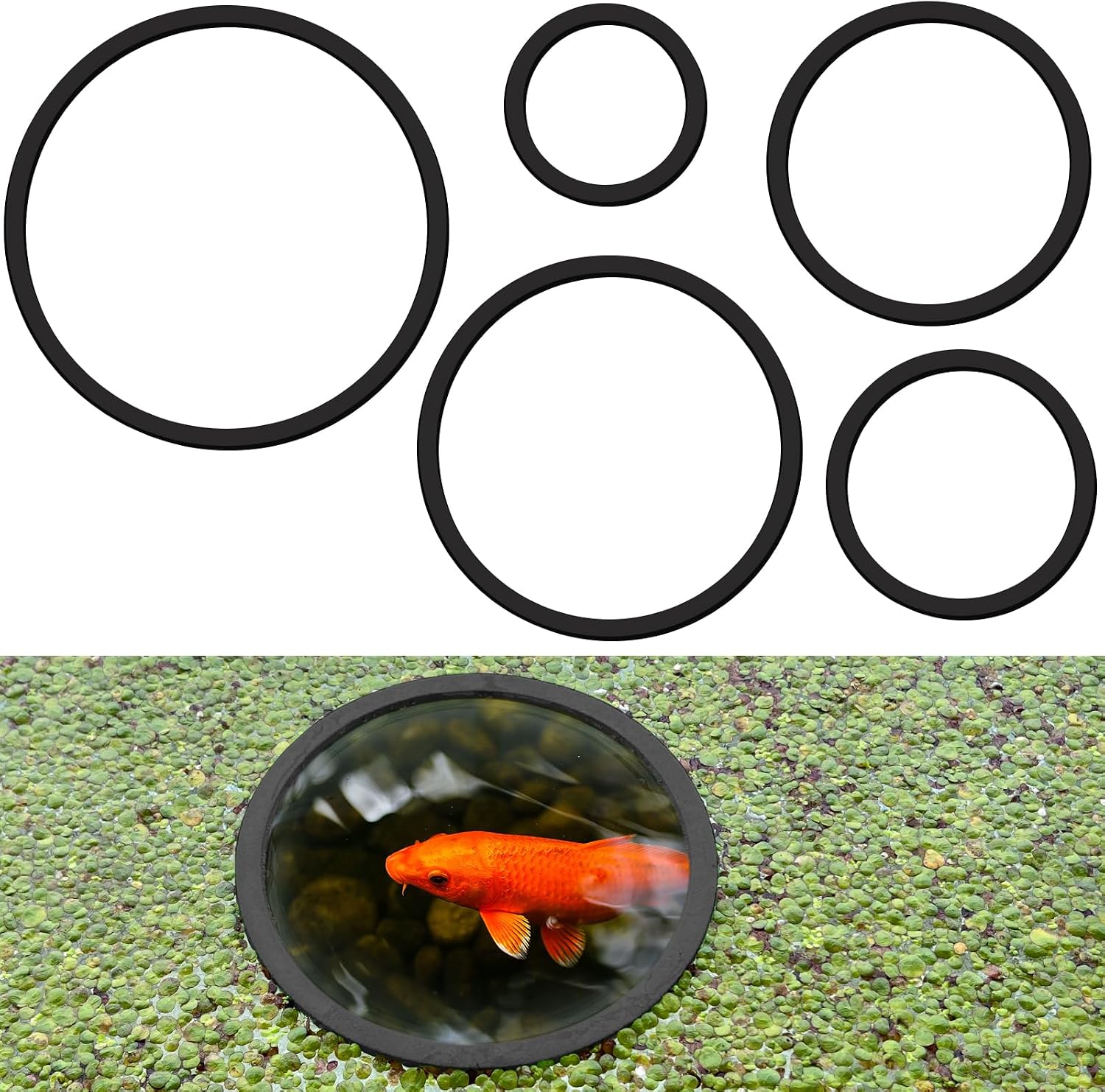 SANJHFF Floating Plant Corral Set