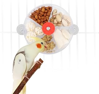 Clear Rotating Foraging Wheel