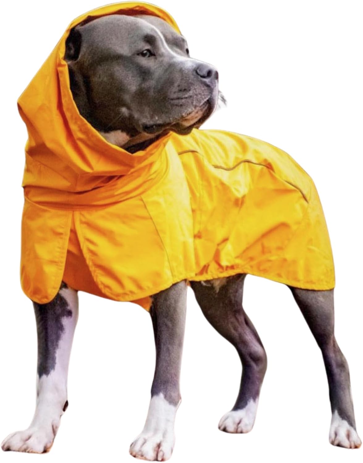 Spark Paws Full-Coverage Raincoat