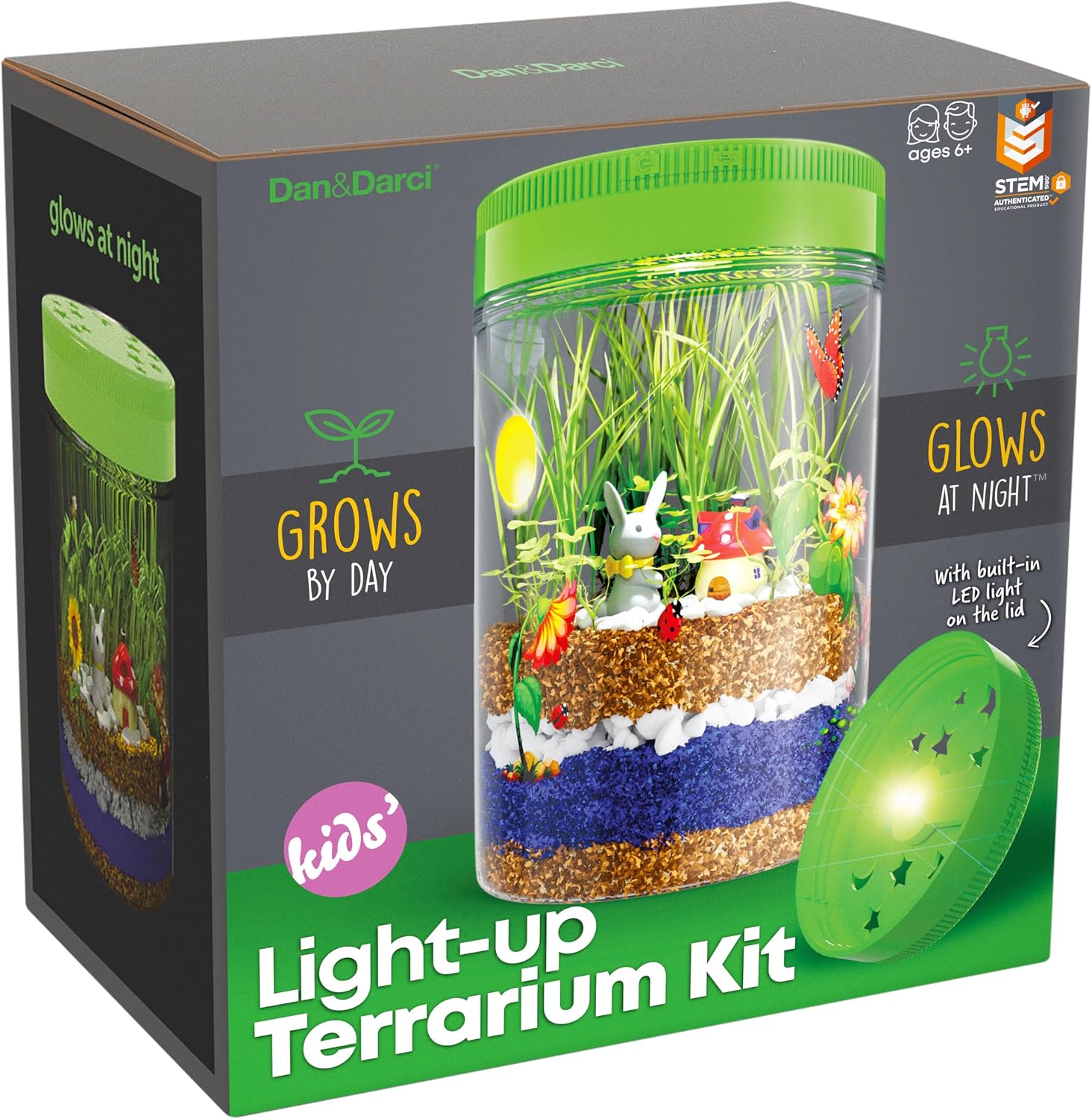 Dan&Darci Light-Up Terrarium