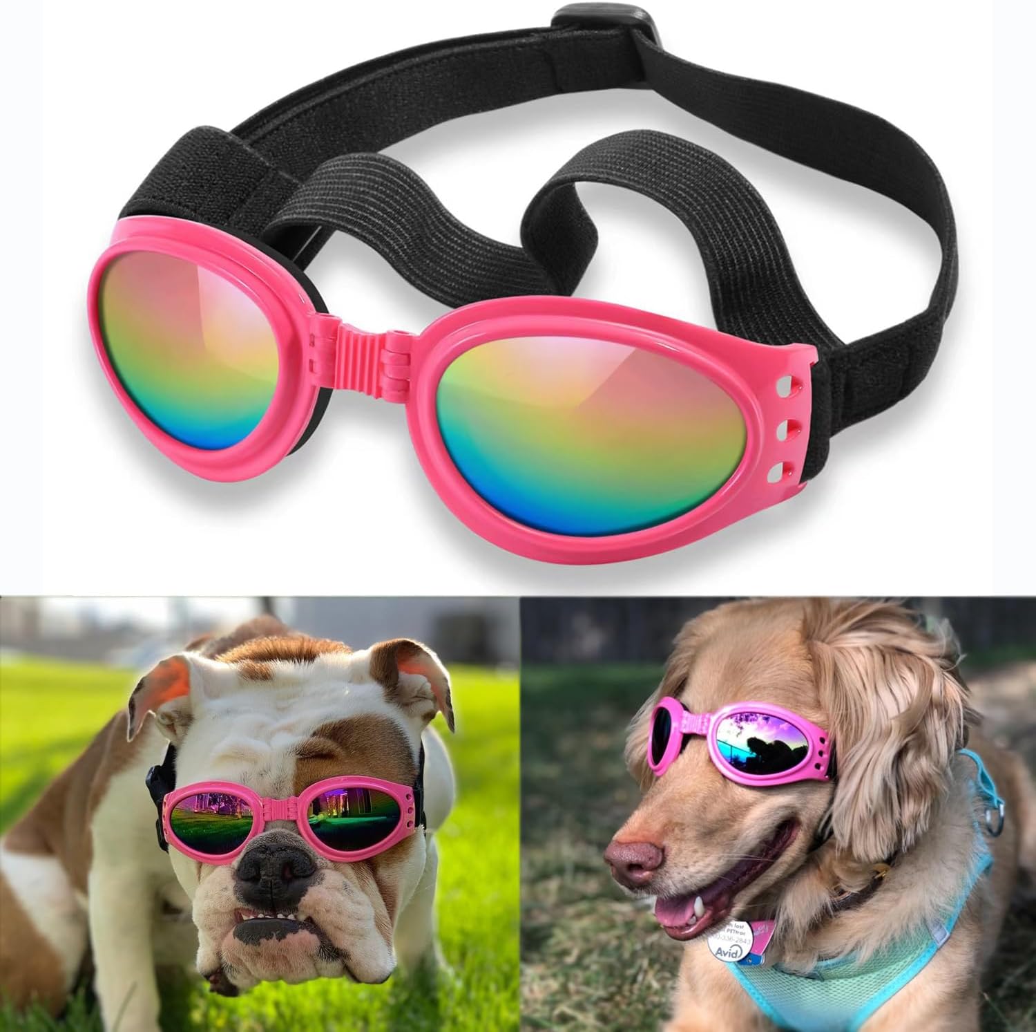 QUMY Dog Goggles