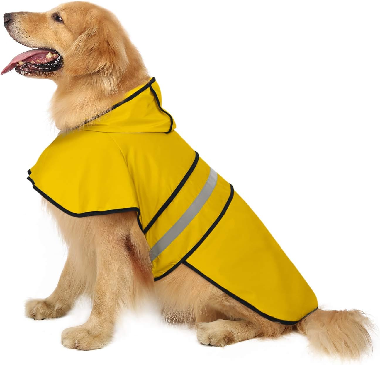 Best Dog Raincoats 2026: 3 Waterproof Picks Compared