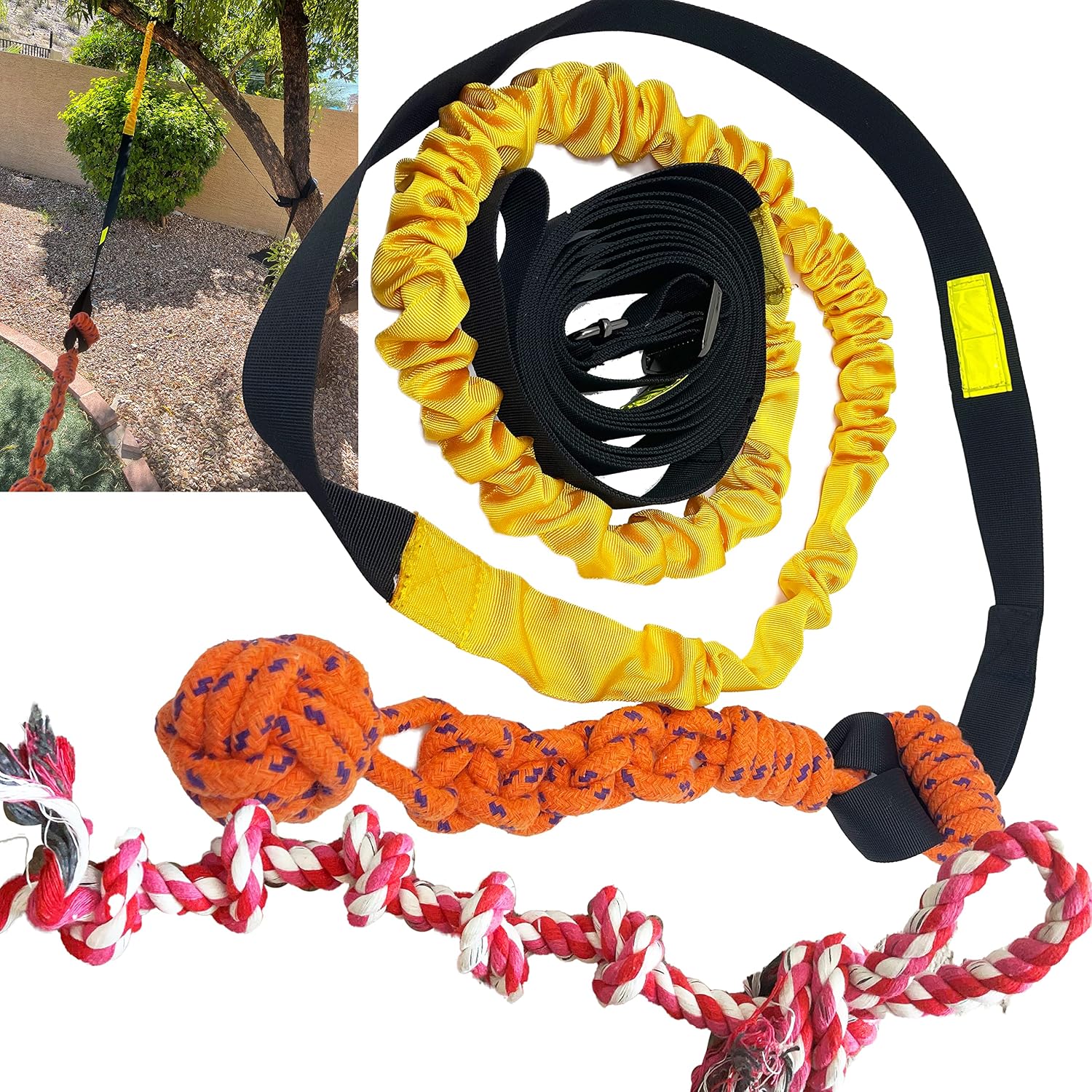 Best Dog Bungee Tug Toys for 2026: 3 Interactive Picks Compared