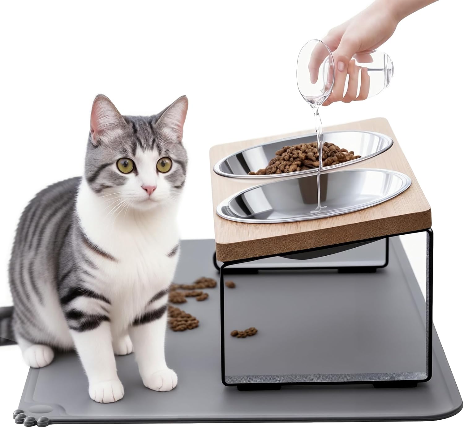 Best raised cat bowls 2026: 3 practical picks compared
