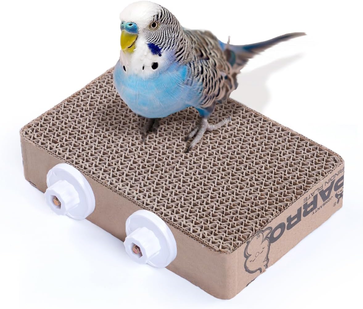 7.3 Inch Paper Bird Toys and Platform