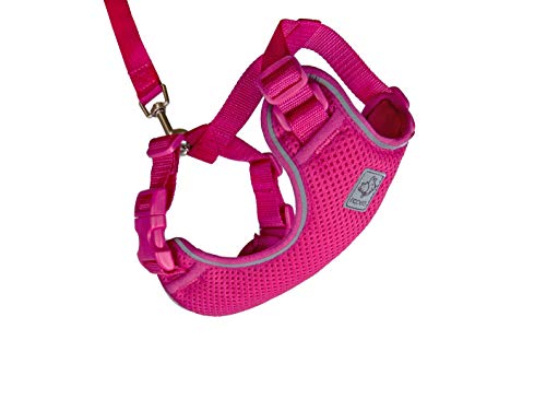 RC Pets Adventure Kitty Harness