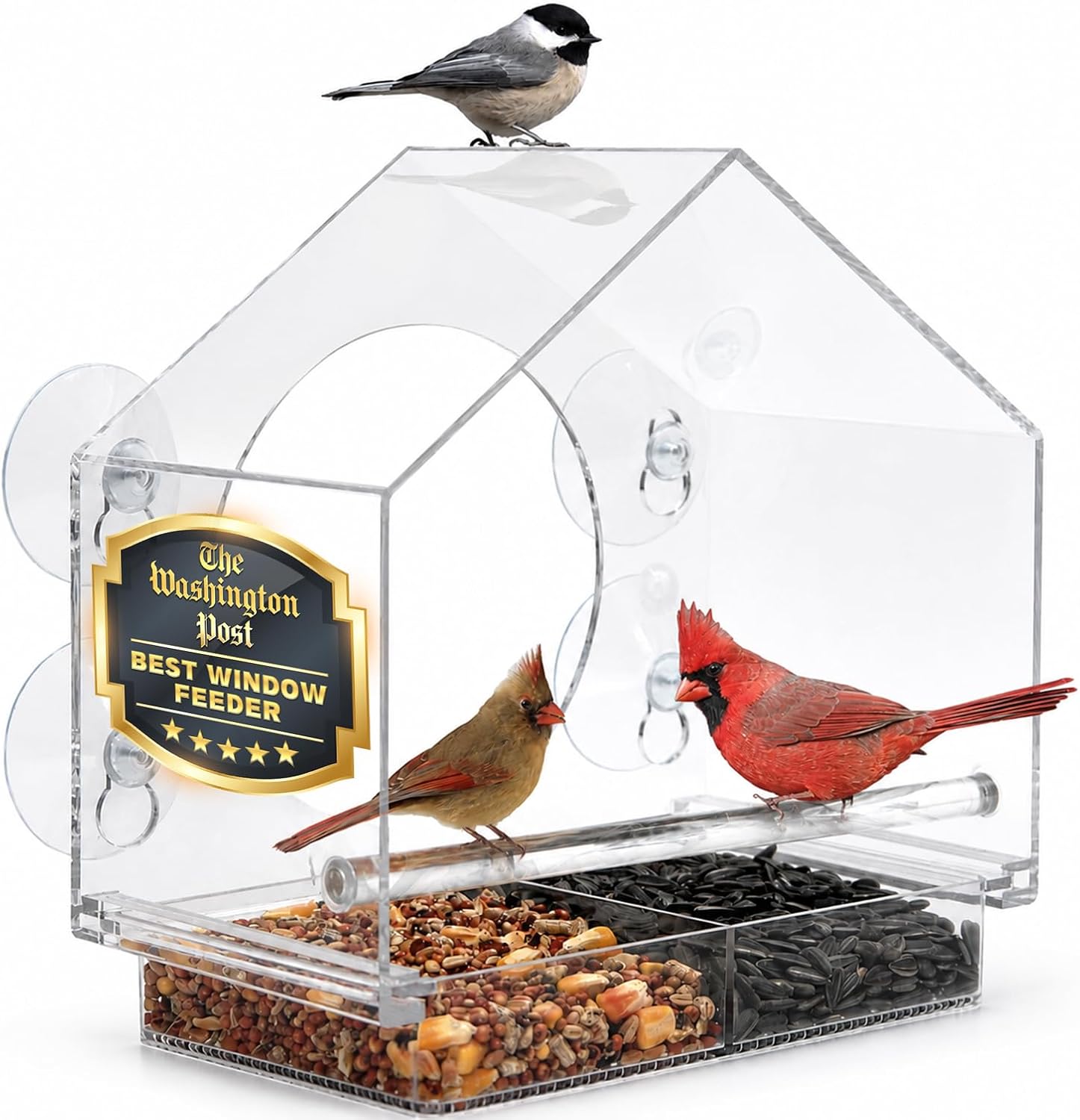 Nature Anywhere Window Bird Feeder