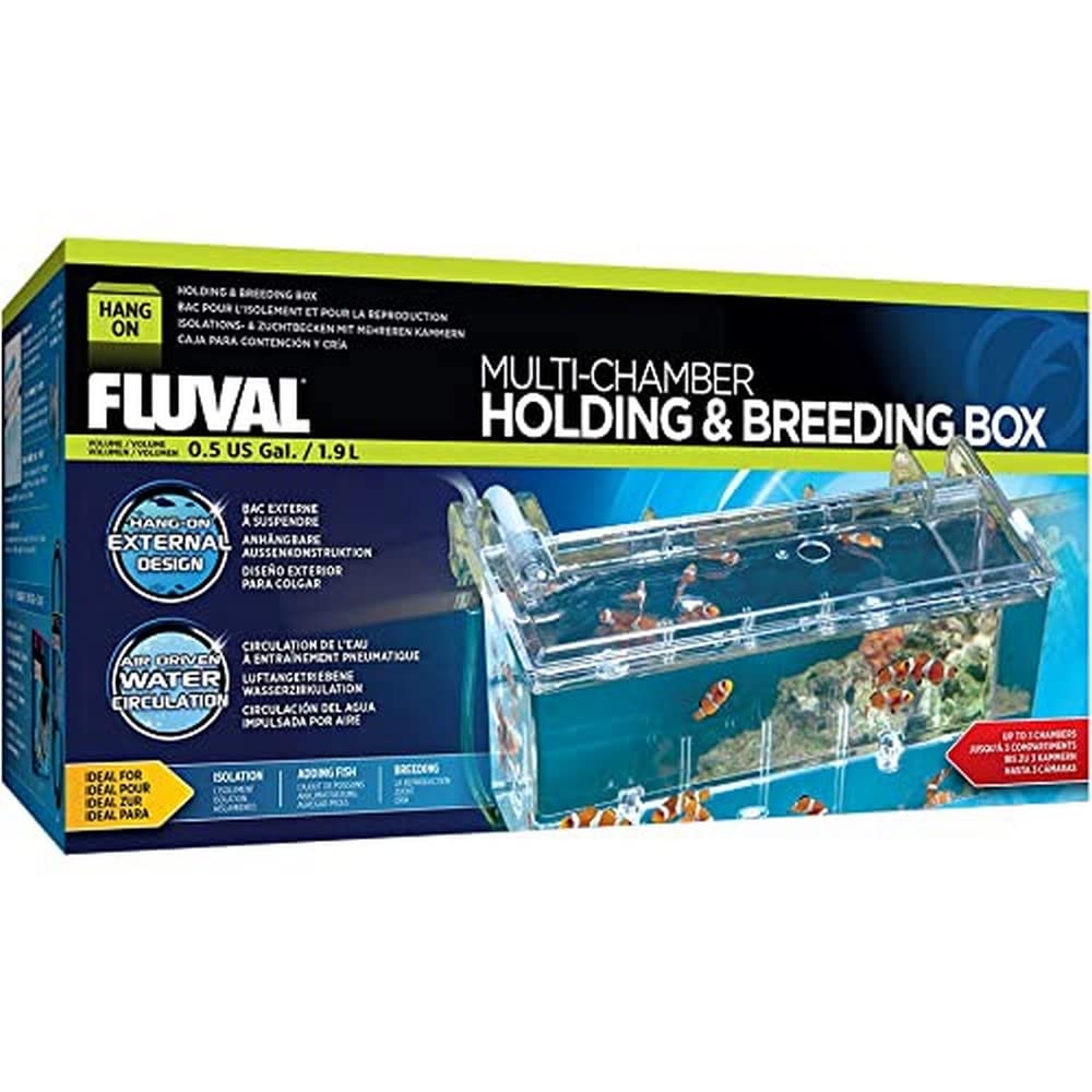 Essential aquarium breeder boxes for fry protection in 2026