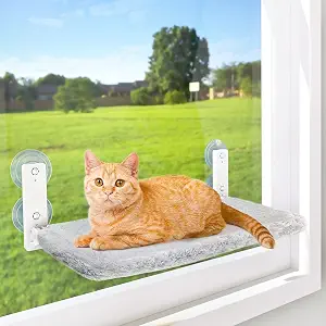 AMOSIJOY Foldable Perch