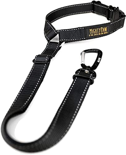 Mighty Paw Headrest Seat Belt