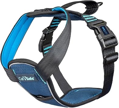 CarSafe Crash Tested Harness