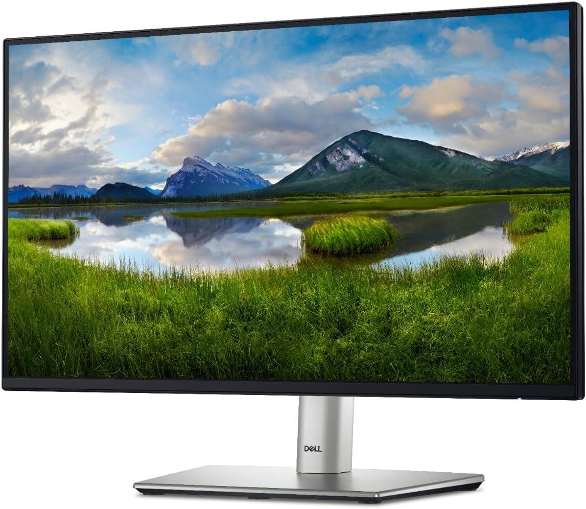 Dell P2425HE