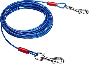 Amazon Basics Kabel 25 Fuß