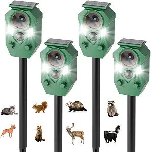 Les meilleurs répulsifs solaires pour animaux au jardin en 2026