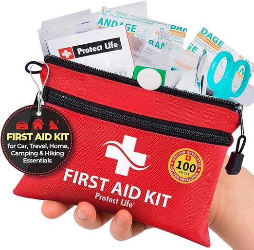 Protect Life 100-piece travel kit