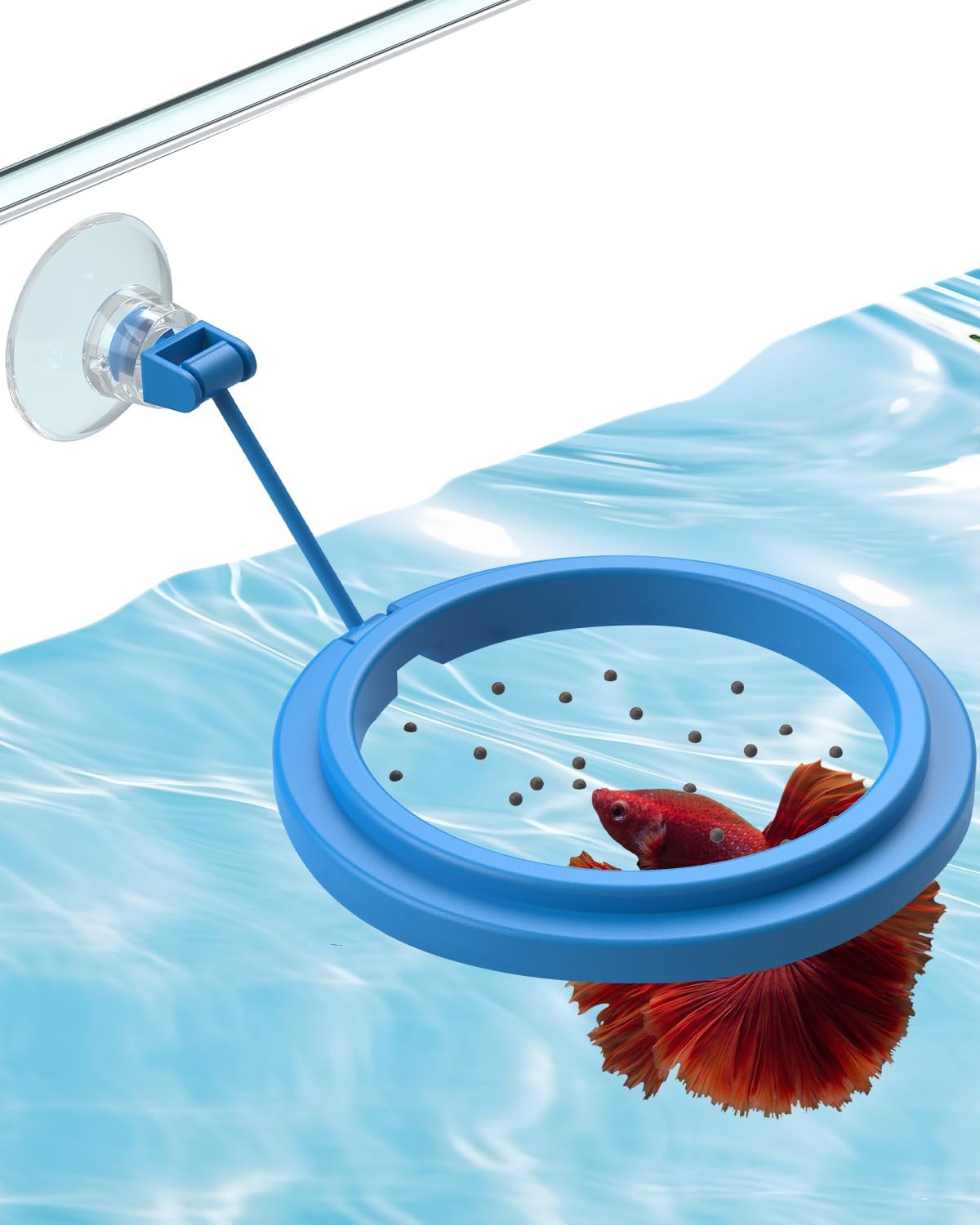 Pawfly Fish Feeding Ring