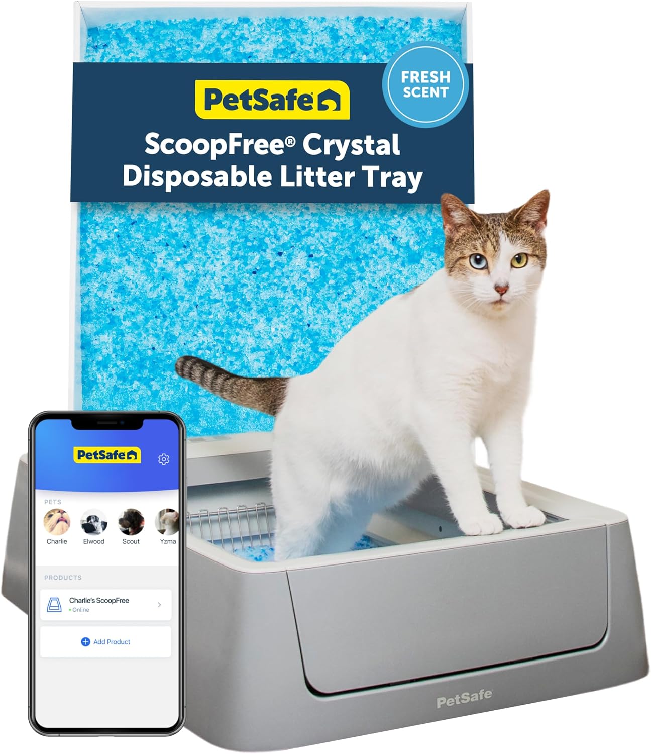 The Best Automatic Litter Boxes for Cats in 2026