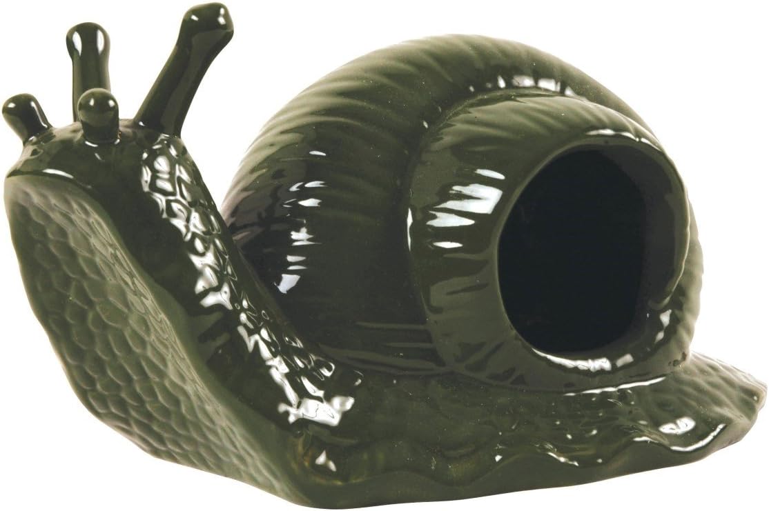 Best Garden Snail Traps 2026: 3 Beer-Baited Picks Compared