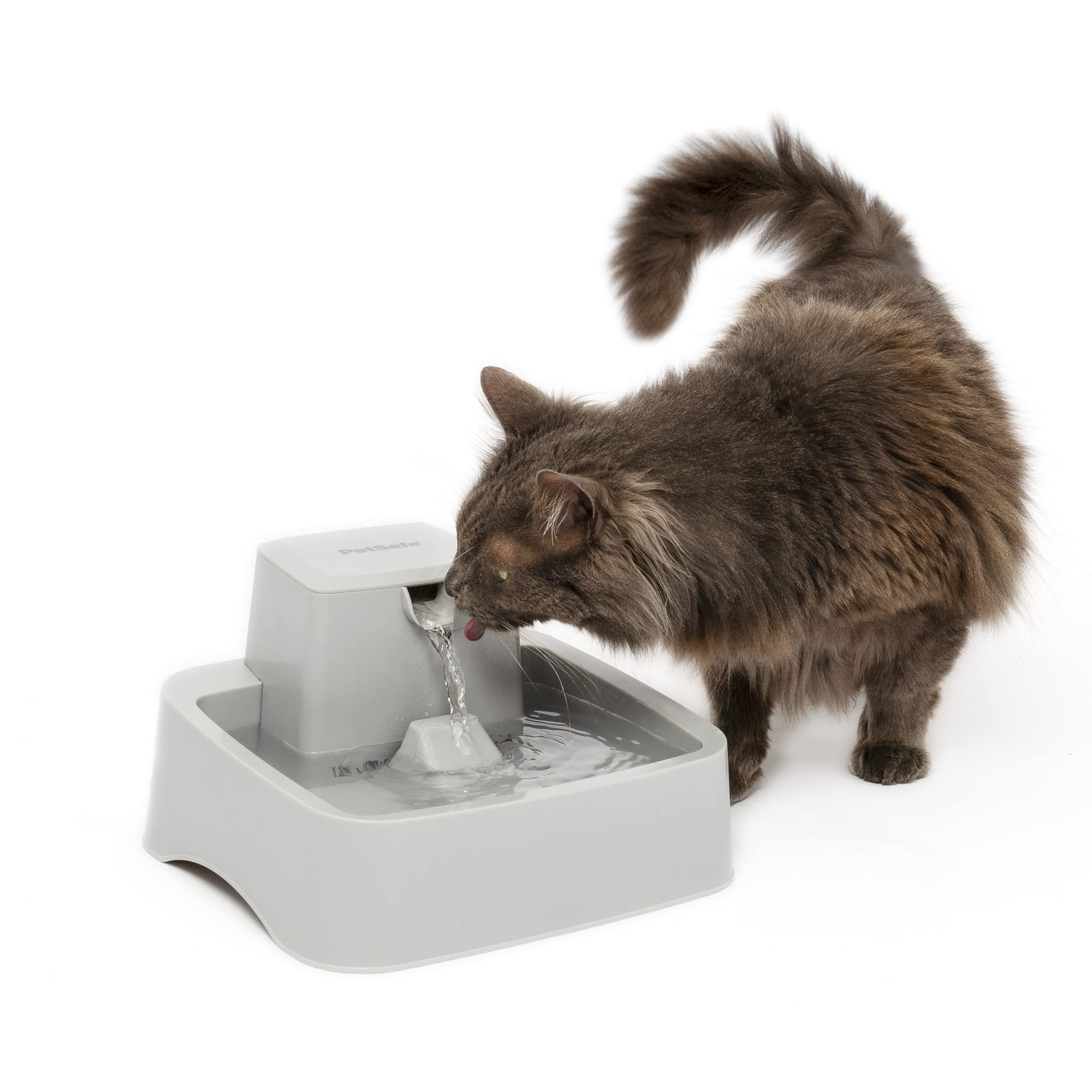 PetSafe Oasys Pet Fountain, 1/2 Gallon (64 oz), Small Dogs & Cats