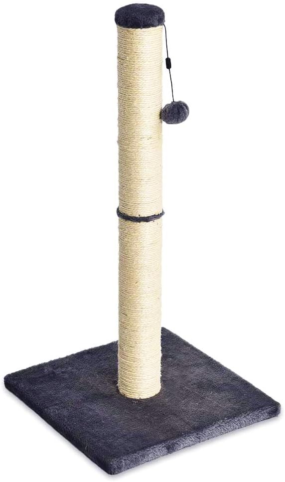 Amazon Basics Medium Kratzpfosten